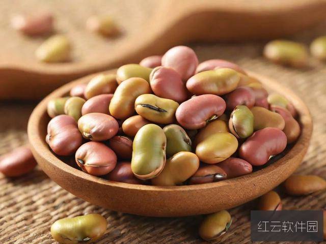 麻豆精品产区三区对比,核心差异与独特魅力解析