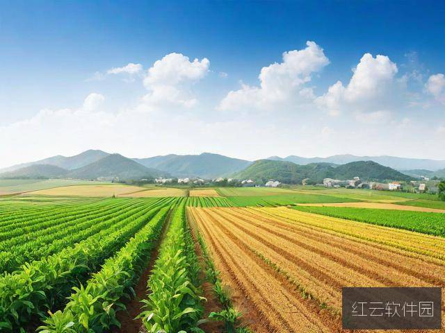 亚洲一线产区与二线产区的区别，产业布局与经济发展对比