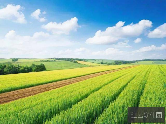 深度解析99精产国品，一二三产区核心区别与选购指南