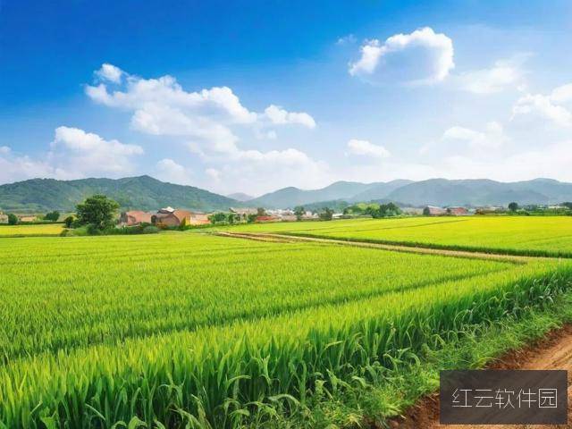 98精产国品一二三产区区别解析，在线了解关键差异