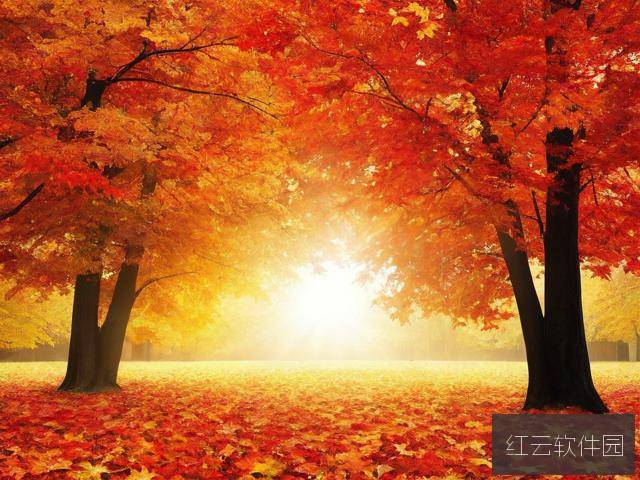 秋霞人成福利在线观看视频背后的网络文化现象探析