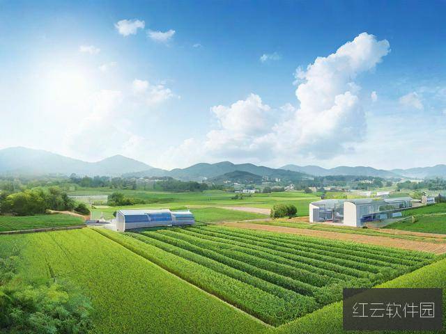 精产国品一二三产区区别,手机制造业的层级解析