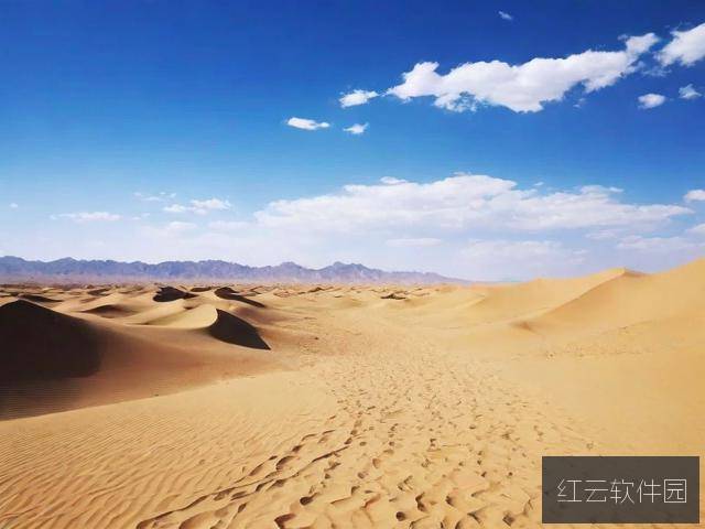 无人区码一码二码三码是什么？详细解析其含义与特点